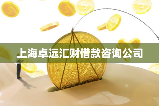 上海卓远汇财借款咨询公司