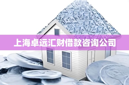 上海卓远汇财借款咨询公司