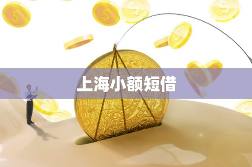 上海小额短借