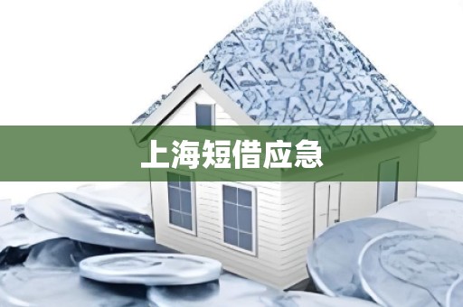 上海短借应急
